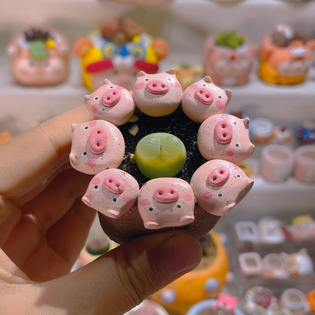 005拉登2厘米带盆土一套138