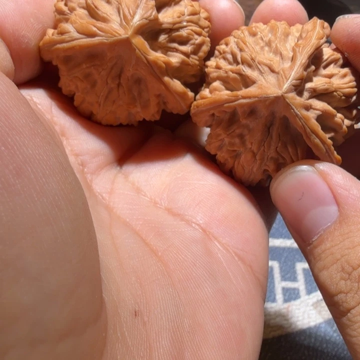 听***雨文玩核桃把件御龙