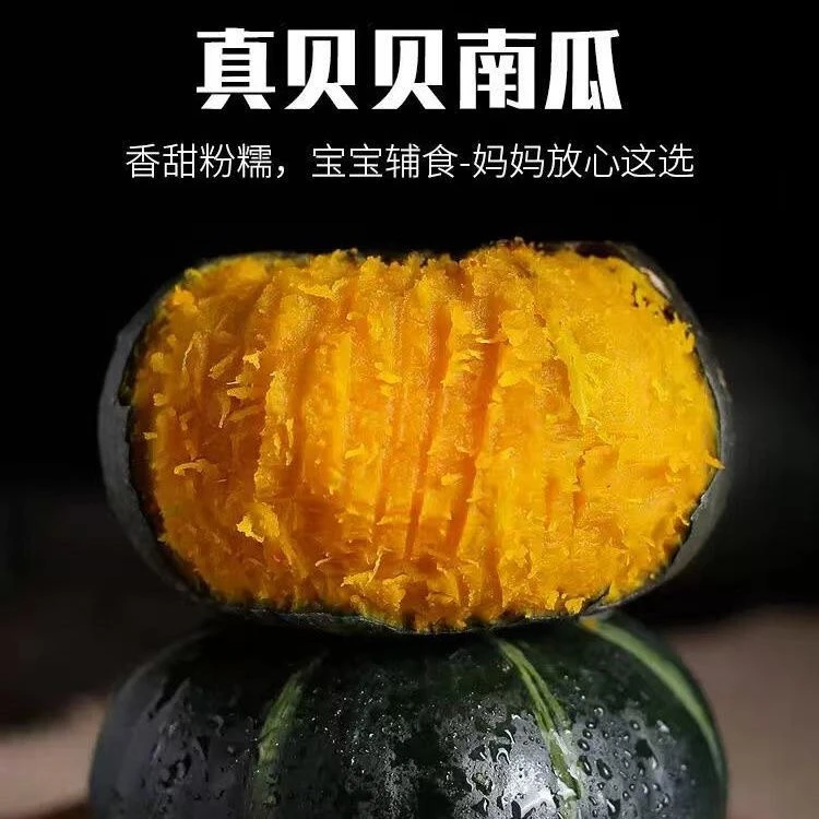 贝贝南瓜粉糯香甜板栗味5斤(中通快递)