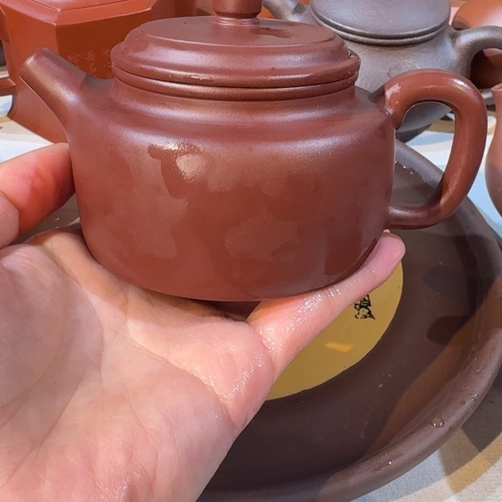 紫砂茶壶红皮龙200cc德中 