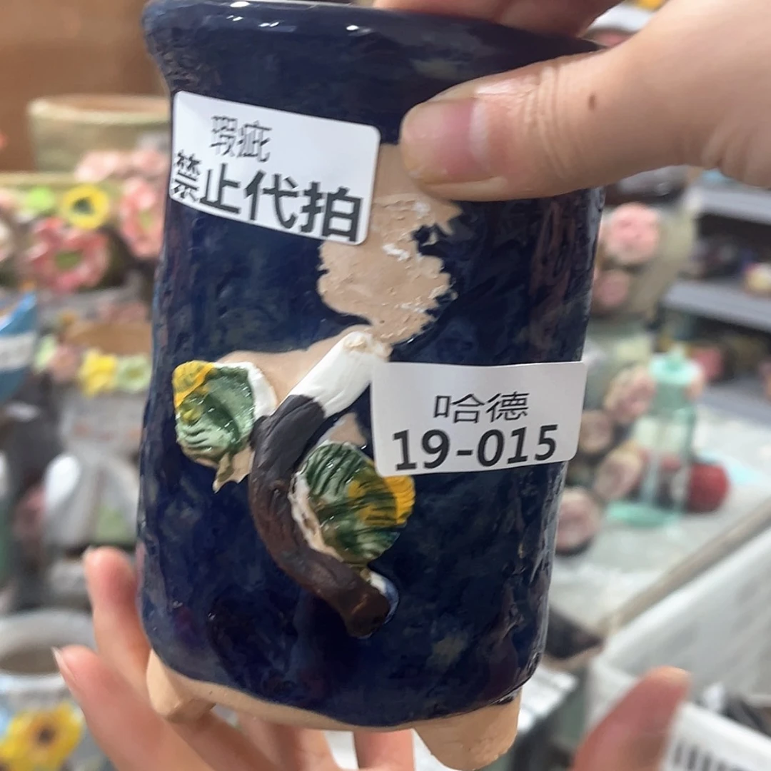 【闪购商品】红陶瑕疵1915