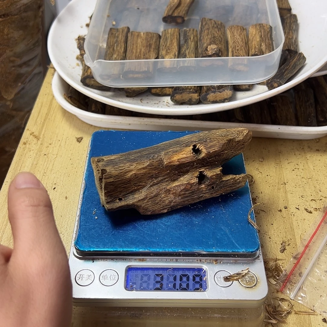 香料绿奇楠虫漏乌身圆叶31克