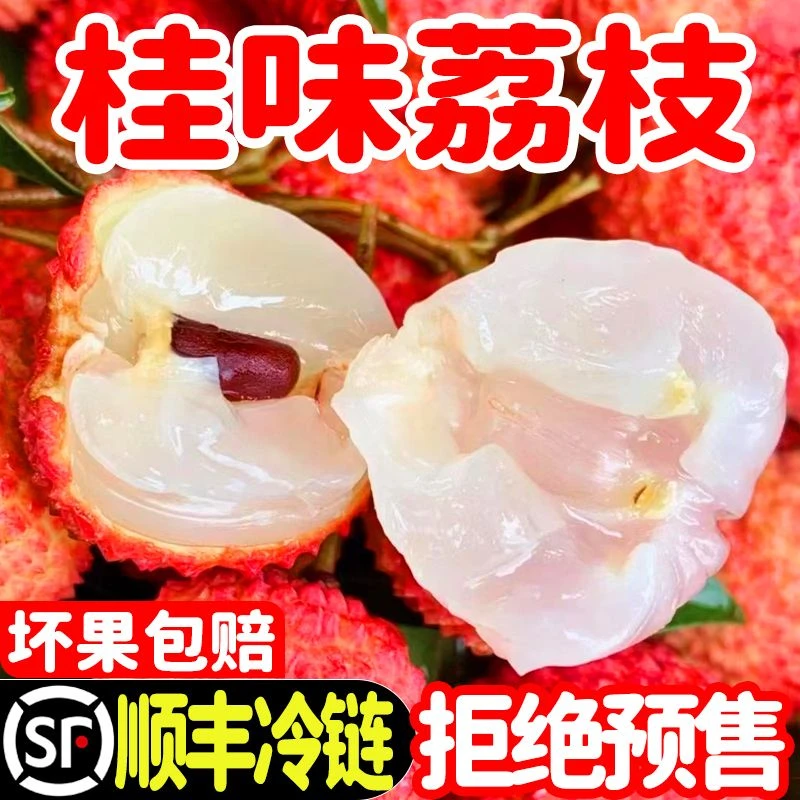 【当天发货】广东高州桂味荔枝新鲜现摘现发顺丰冷链包邮荔枝同城送