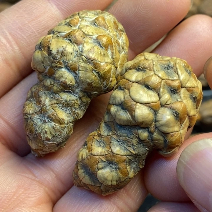 吊坠文玩核桃娜姐160