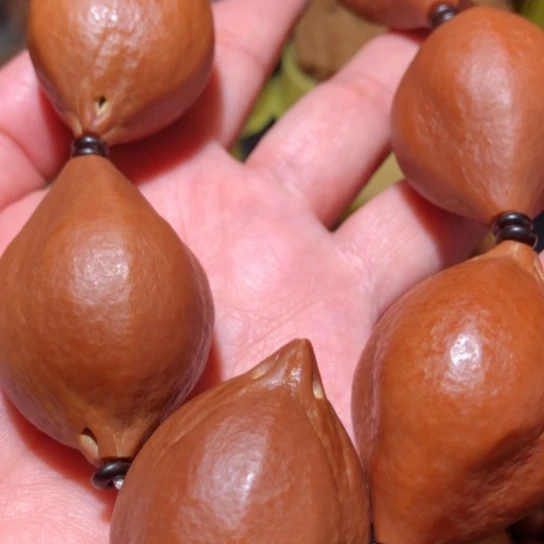 文玩核桃把件温**光橄榄核手持