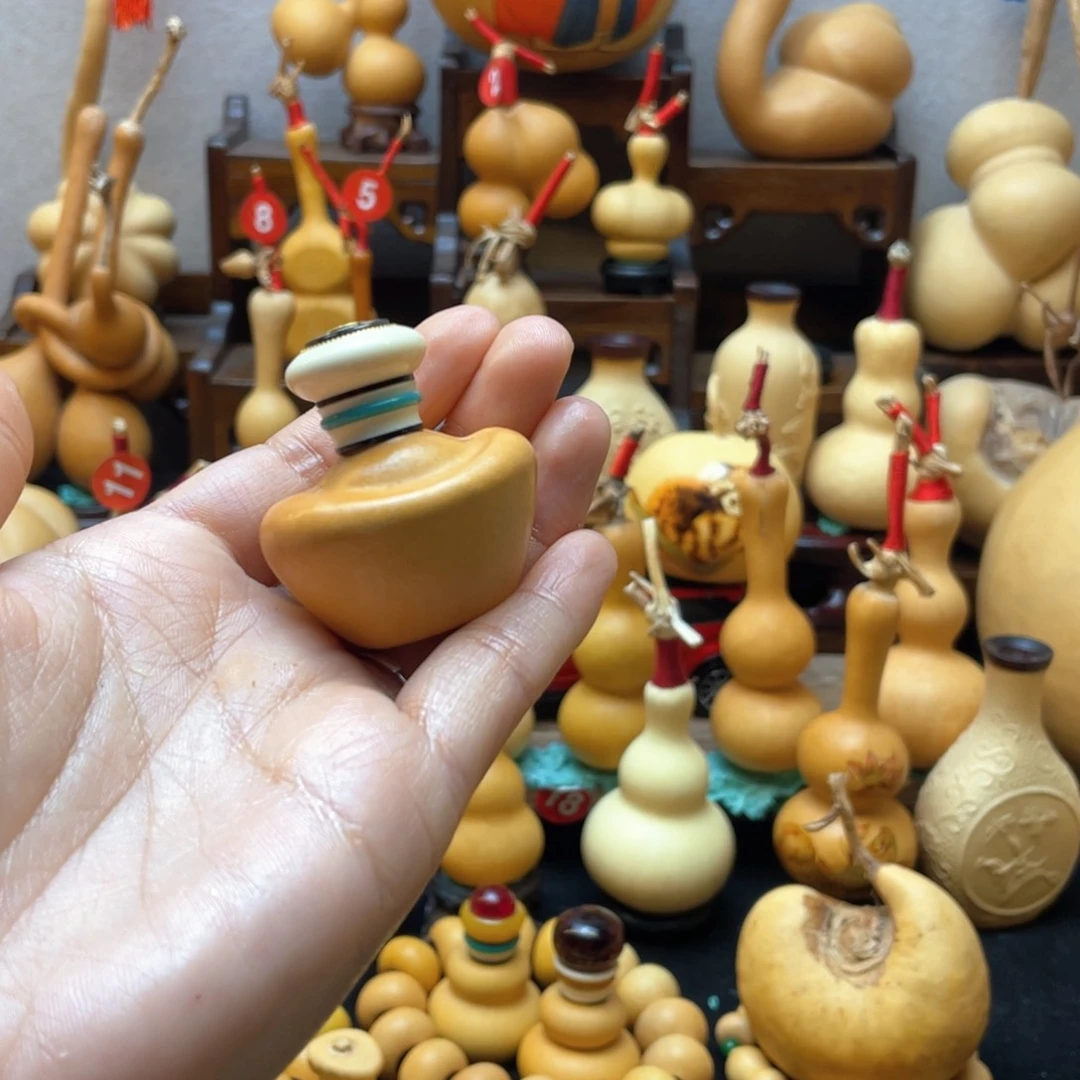 无***0大自然的秘密第十一节你要