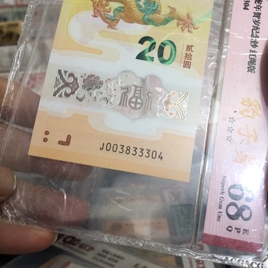 塑料龙钞003833304