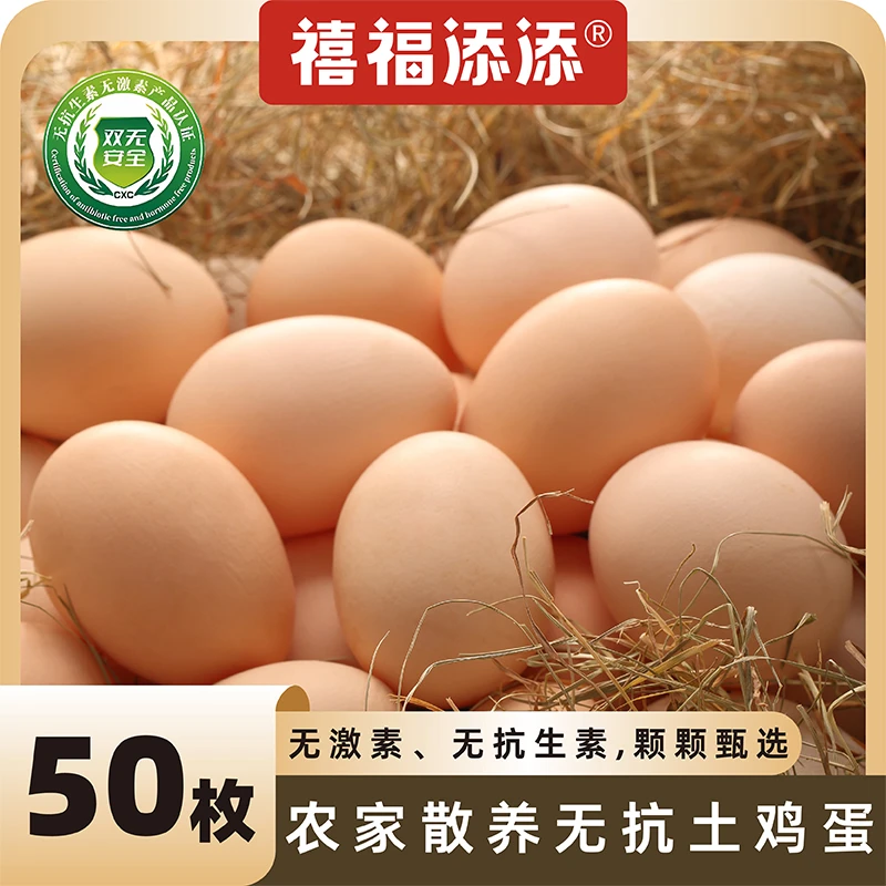 禧福添添【无抗认证】正宗新鲜土鸡蛋五谷喂养散养营养丰富特大号