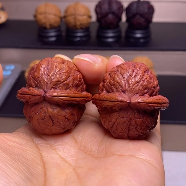 文玩核桃把件金龟玉甲地闷59