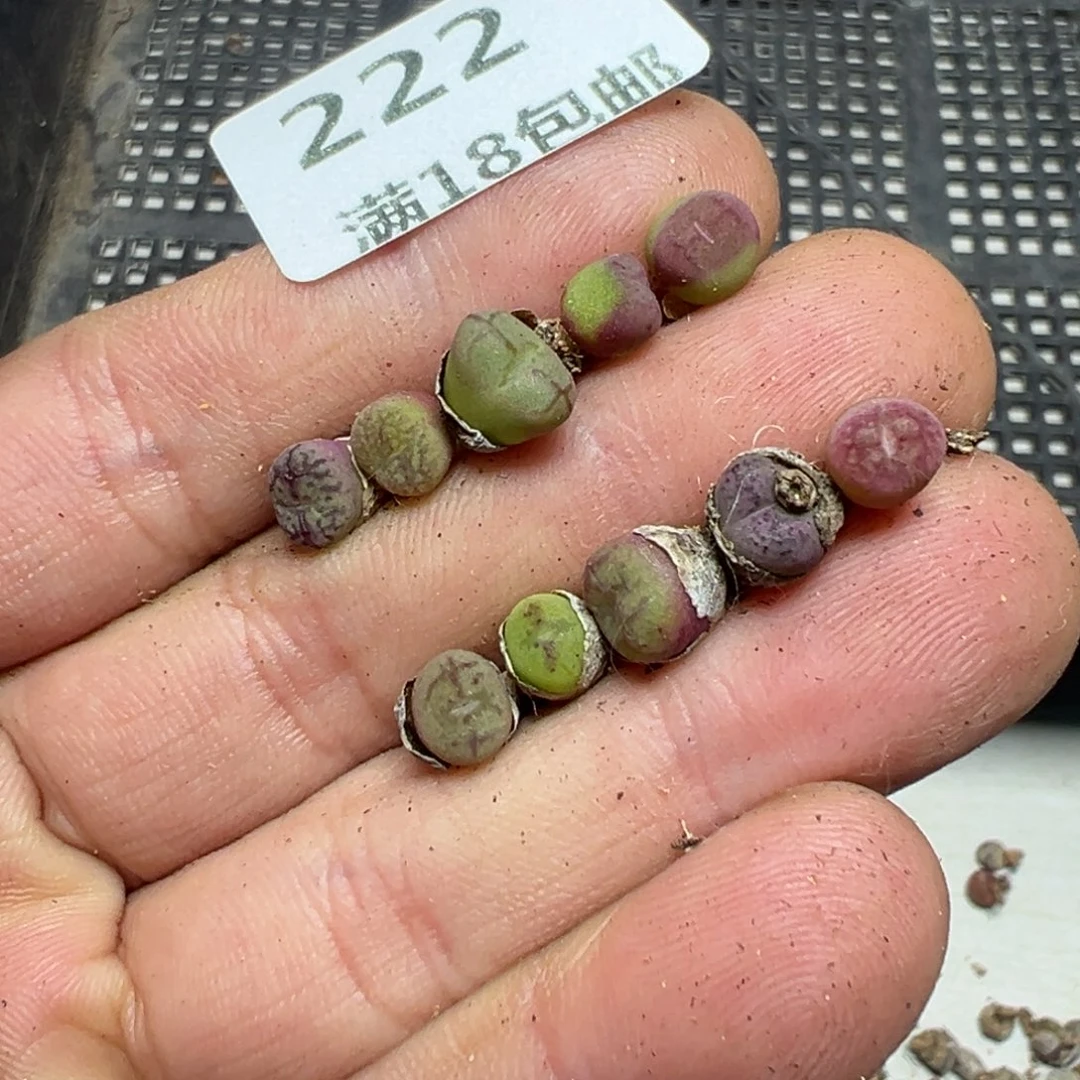 【闪购商品】 222。