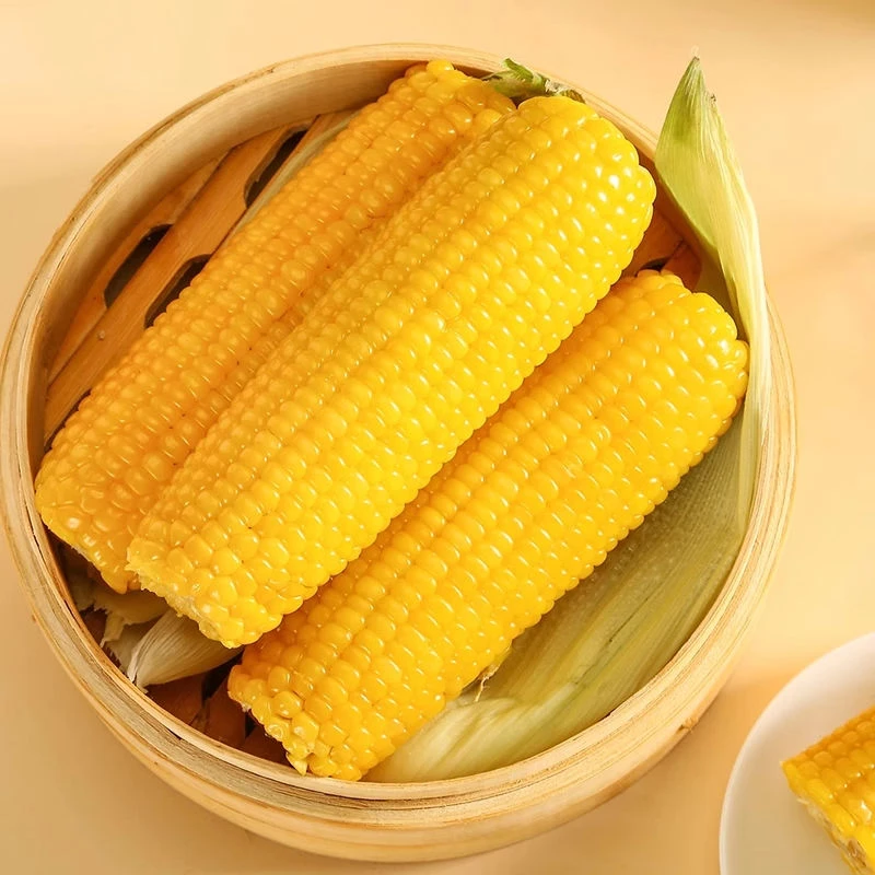 试吃2根【真25年新玉米】东北玉米新鲜黄糯玉米真空包装10根≥2600g