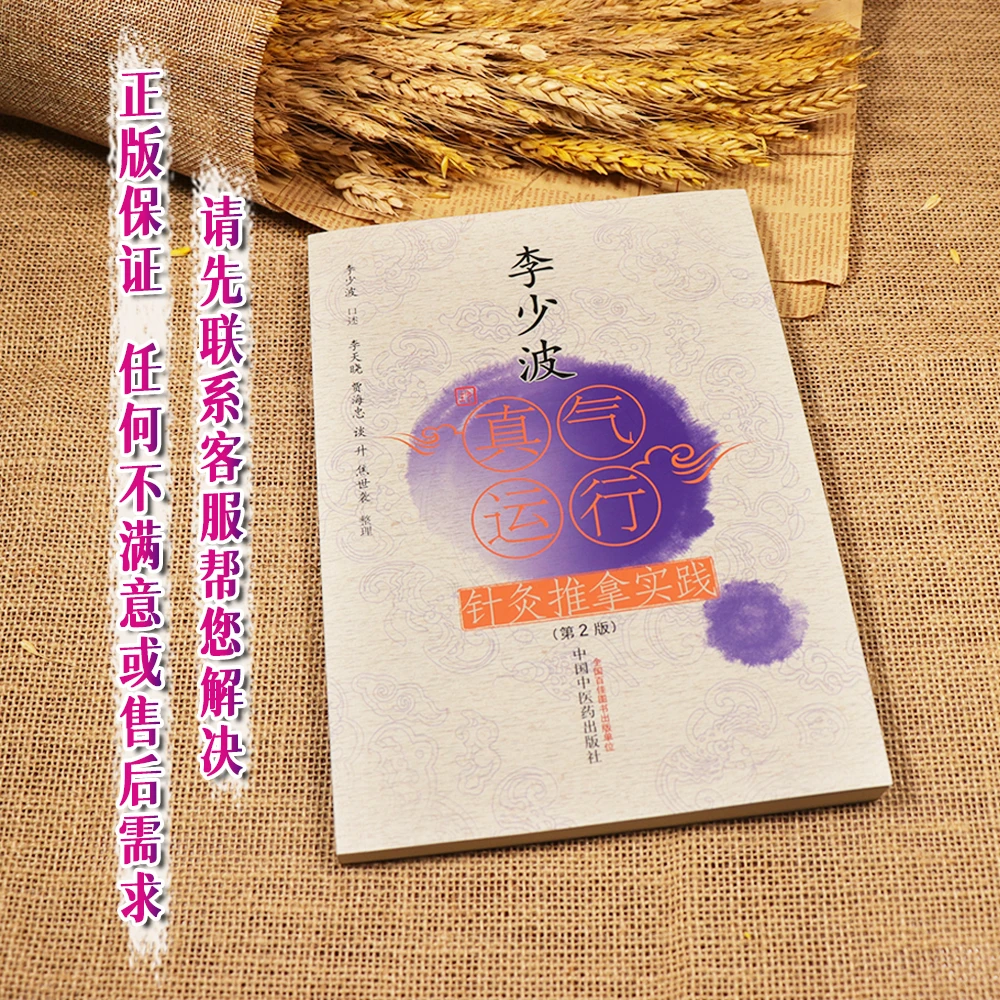 【天地合】李少波真气运行针灸推拿实践 第2二版 李少波 口述