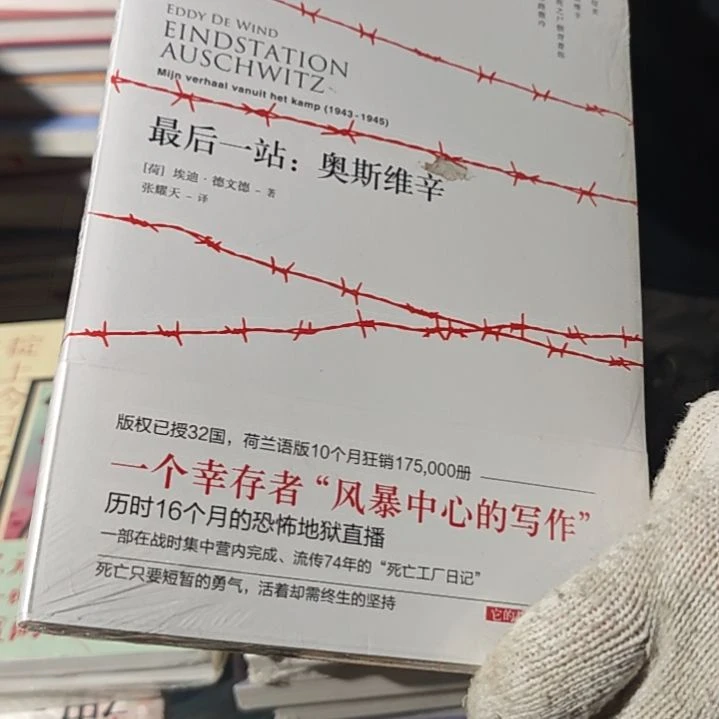 最后一站奥斯维辛平装库存书
