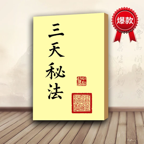 道法符咒《三天秘法》350页符箓自学入门书籍茅山正一符箓法本符咒