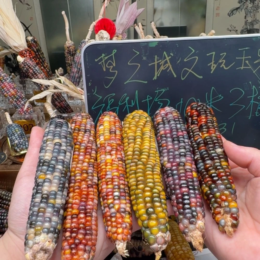 柏香籽/百香籽吊坠z*
