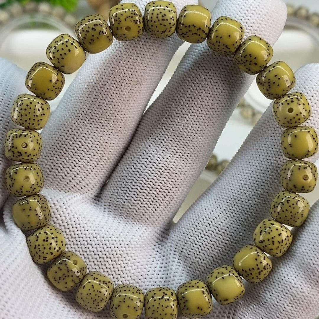 海南原生态同支果鸡油黄双留白