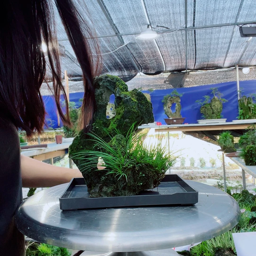 完全开放意阔老师家不带盆