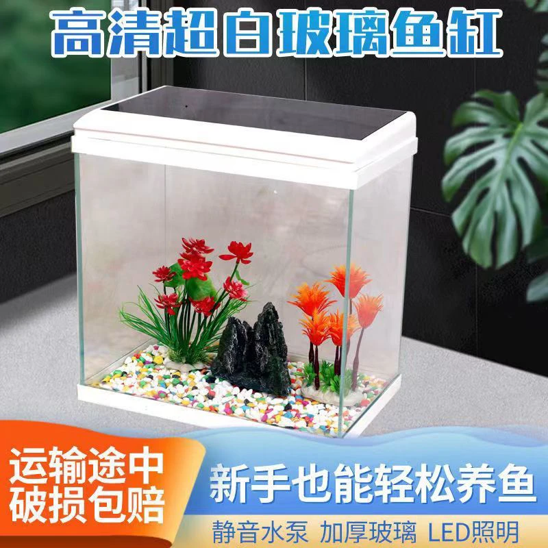 【水族箱半价清库存】带灯  带过滤 5折  一口价