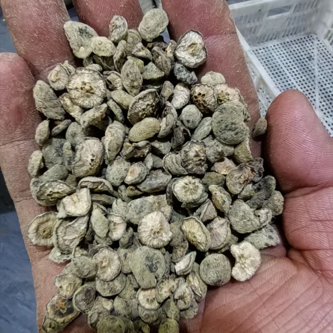 枸橘 山东绿衣枳实 小果的铁篱寨非种植的已切片毛枳实