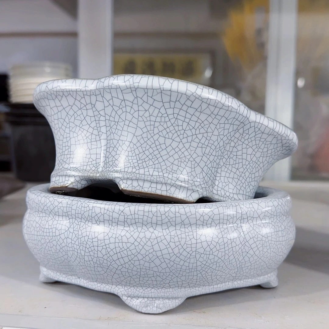 陶瓷花盆特价上新