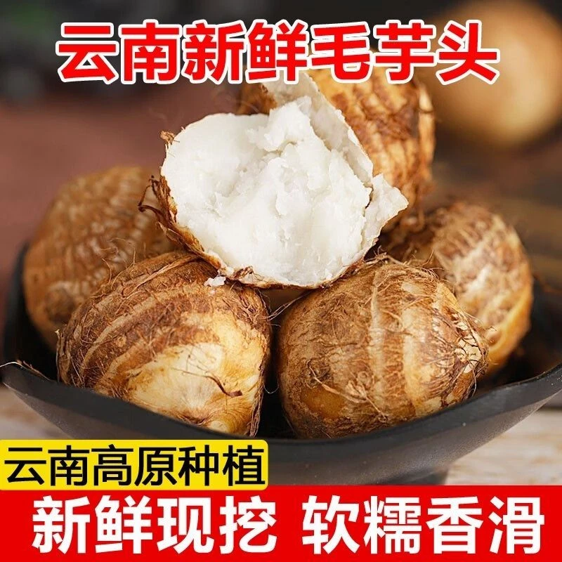 【新鲜现挖】云南牛奶小芋头软糯香甜毛芋头蔬菜香芋芋艿种子批发