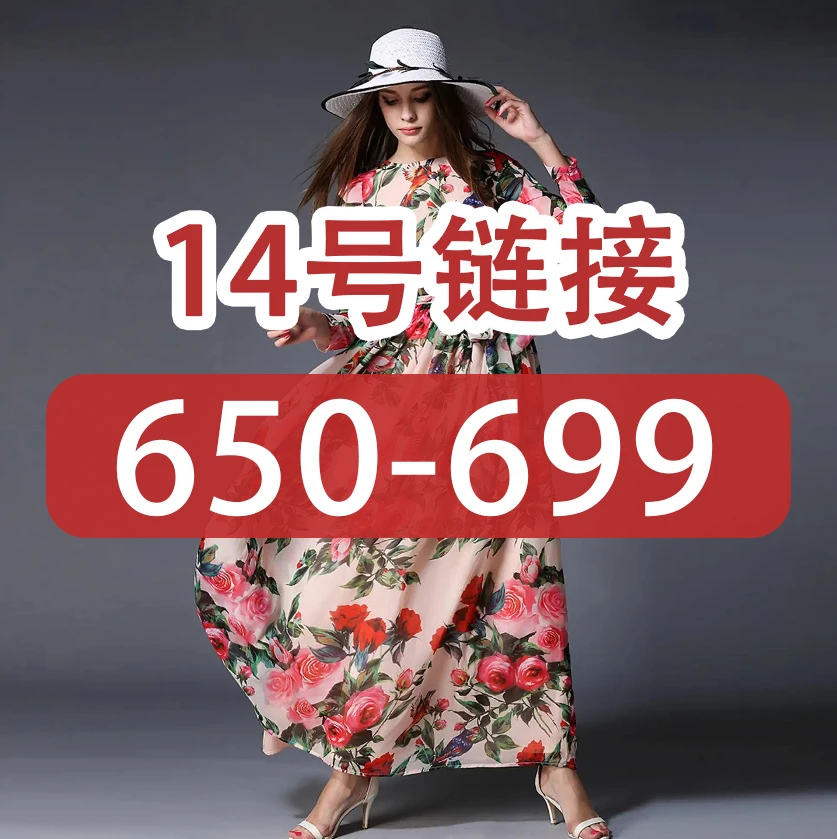 Lily外贸连衣裙- 孤品（650-699）