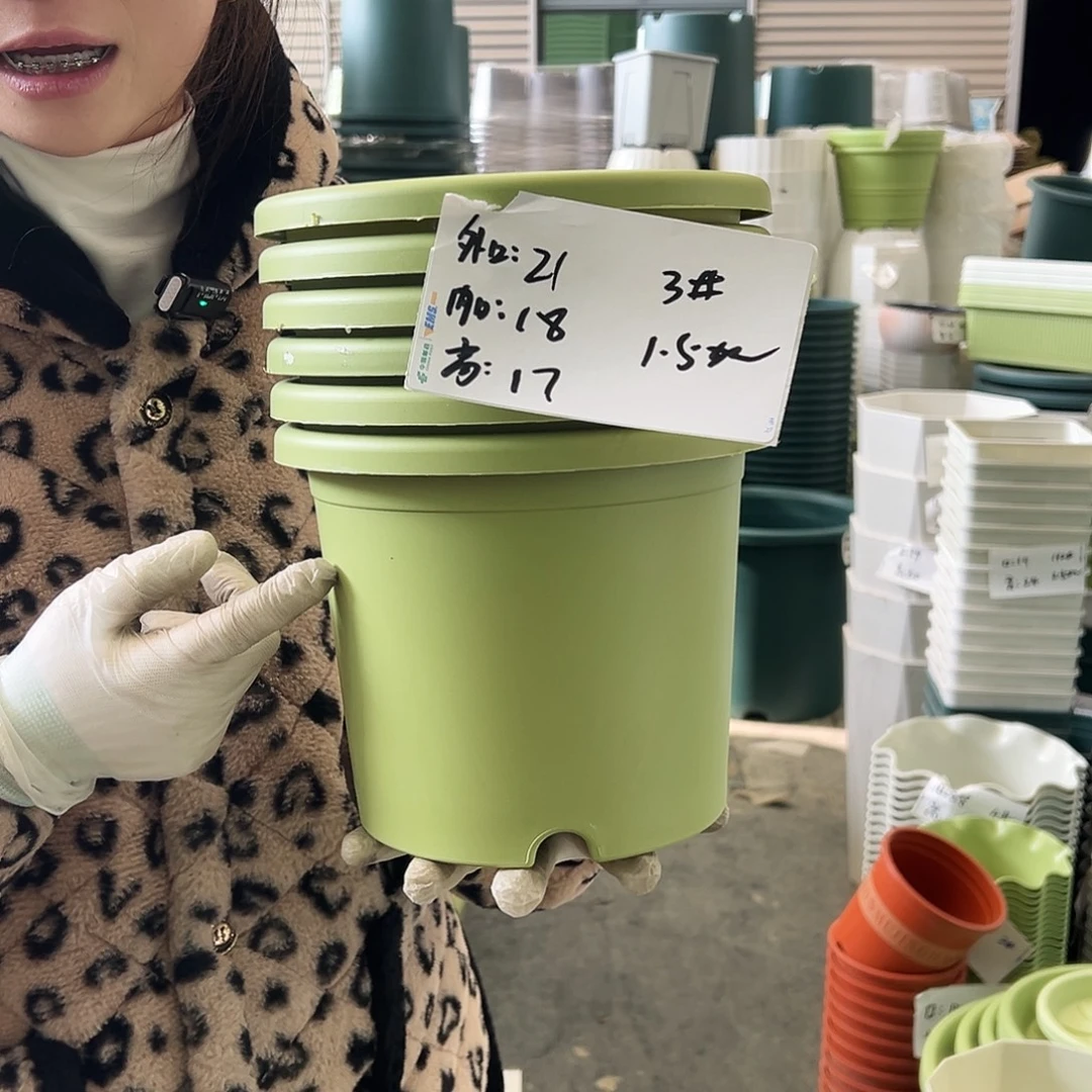 四季盆3#果绿10个无托