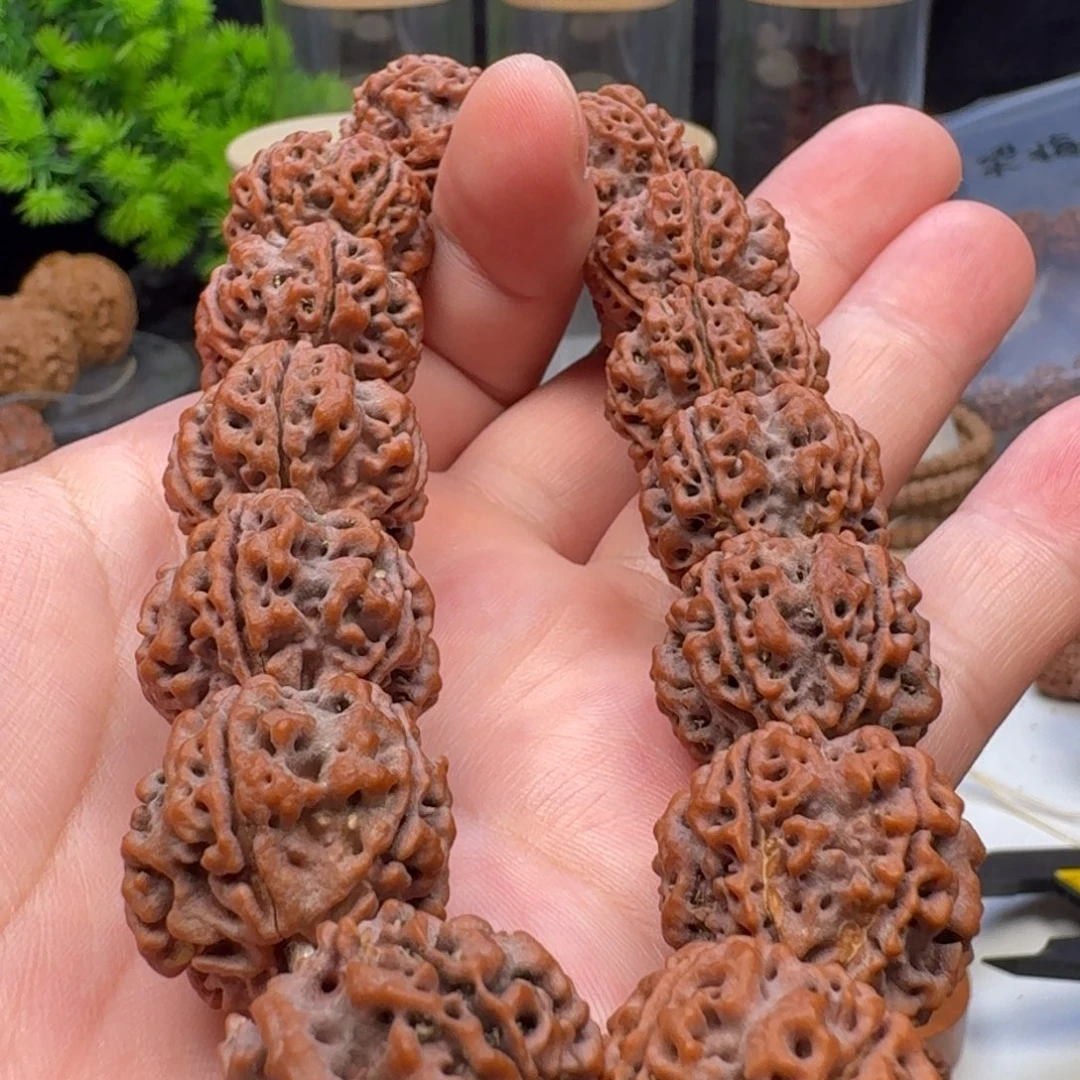 金刚菩提手串蜂窝双龙
