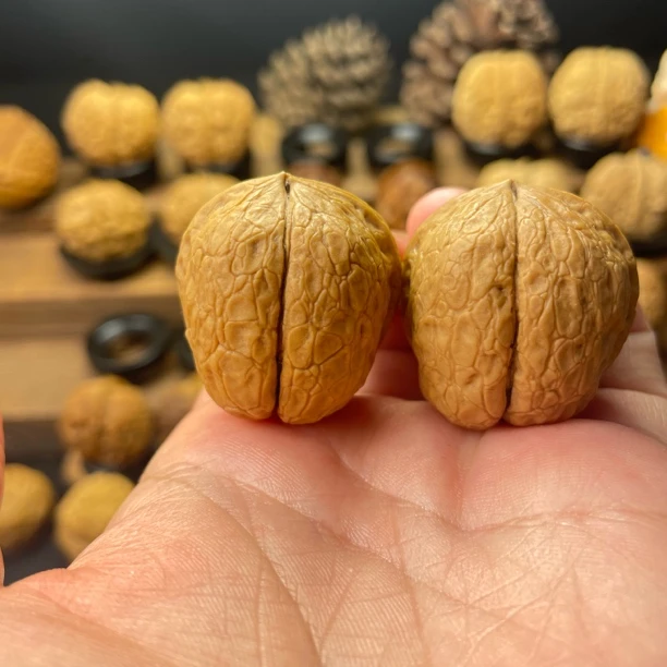 30尺寸  小异形（云南铁核桃一物一图产地直发）
