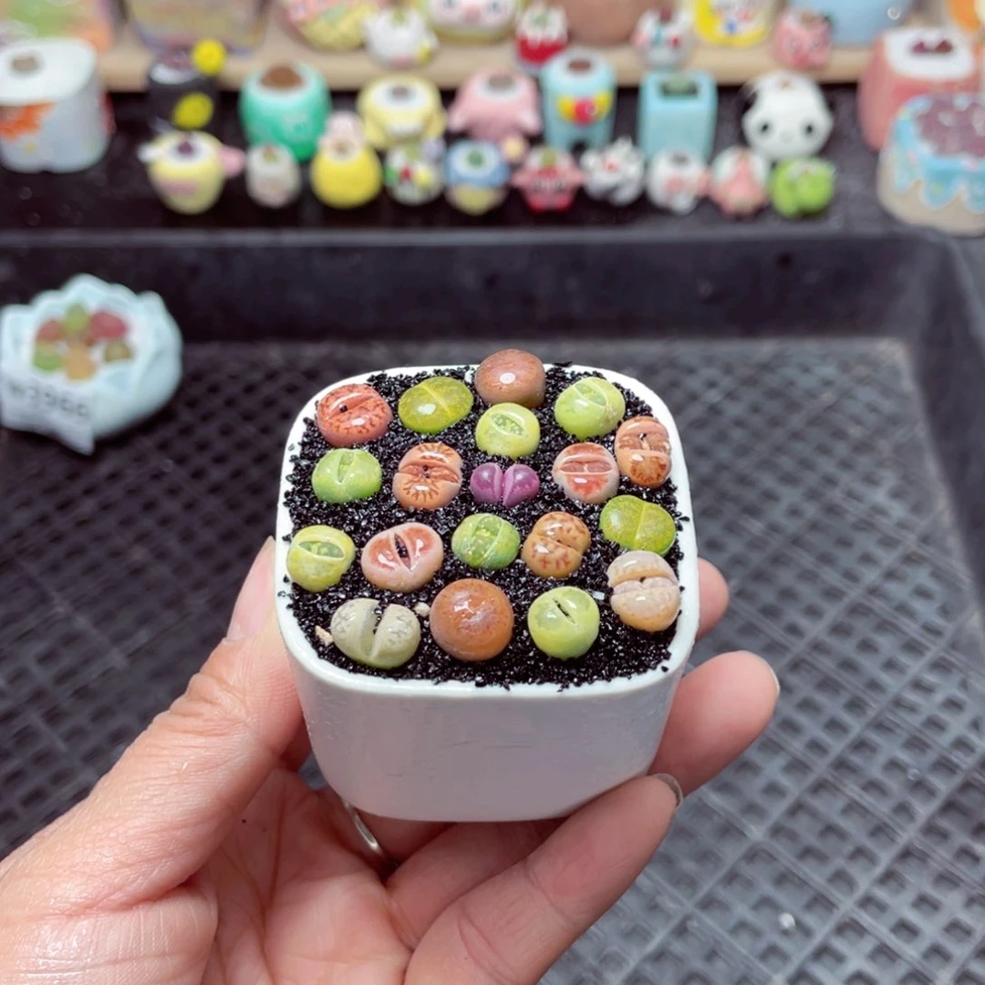 w3978 带盆土发货-零下地区拍保温箱