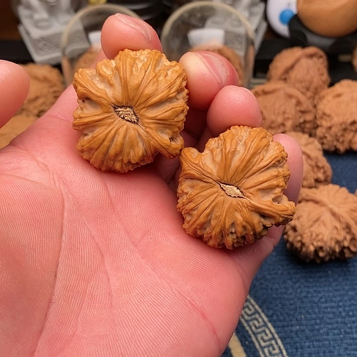 文玩核桃把件敬****.白狮38