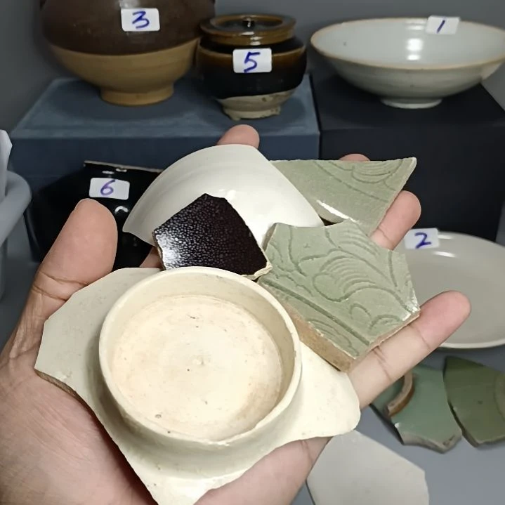 各类瓷片标本五片