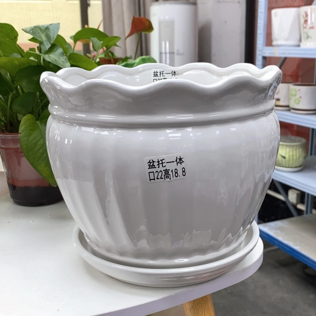 陶瓷@陶瓷花盆@@5581