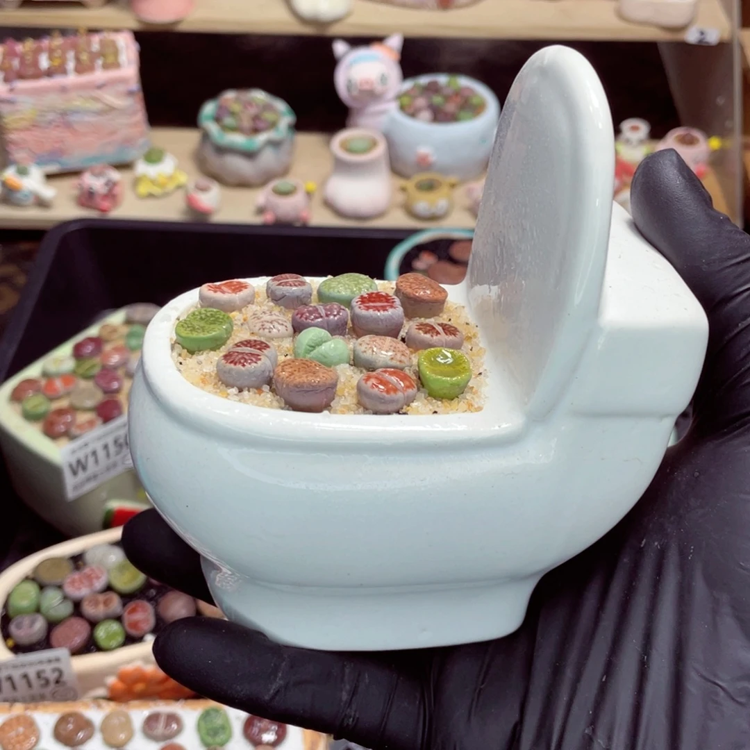 夜间零下地区拍保温箱w1163