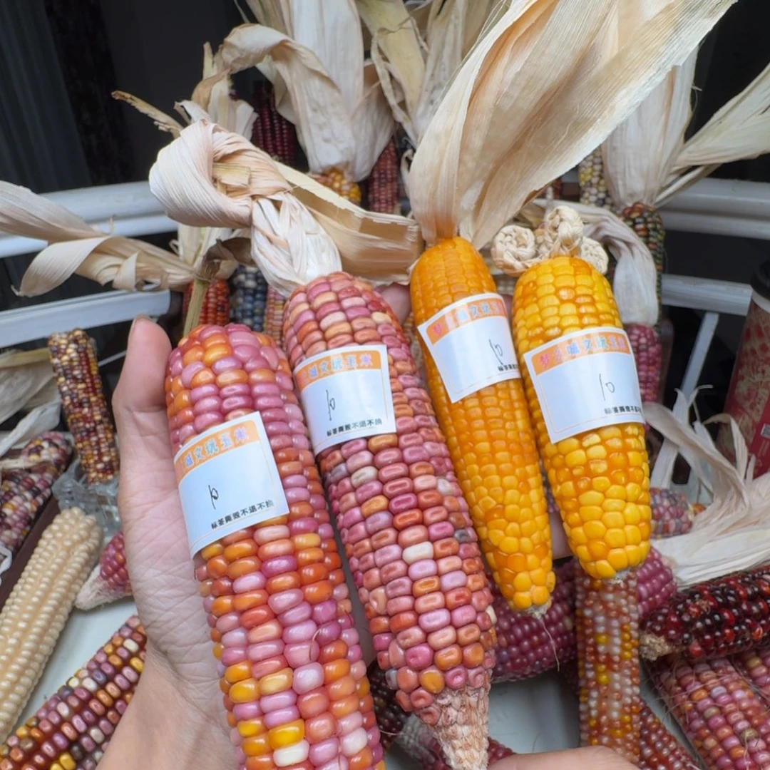 M***@柏香籽/百香籽吊坠