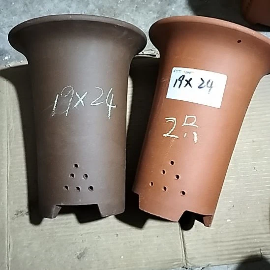 紫砂大红大紫兰花两个