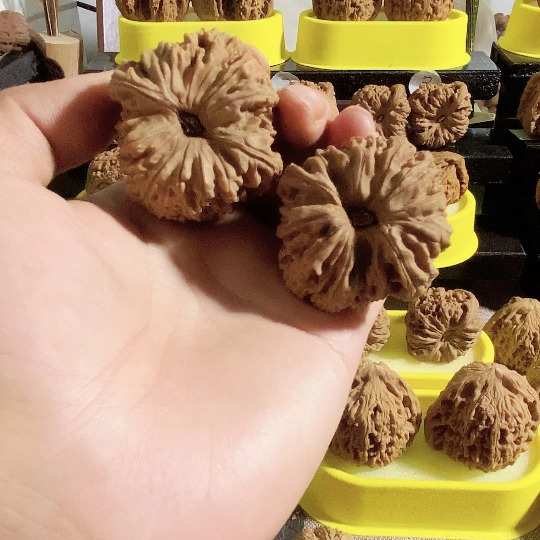 木质类今天的我是个小