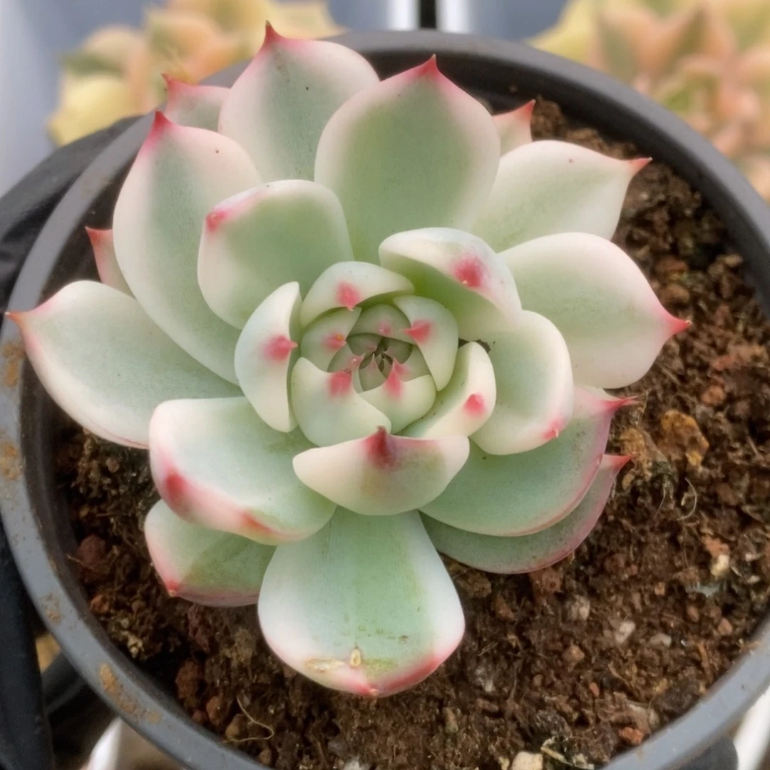 560锦锦锦锦锦锦锦锦