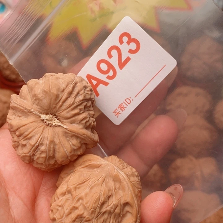 南瓜41尺923号123