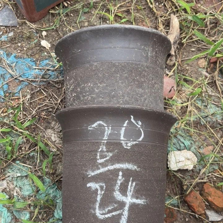 花盆紫砂紫砂的花