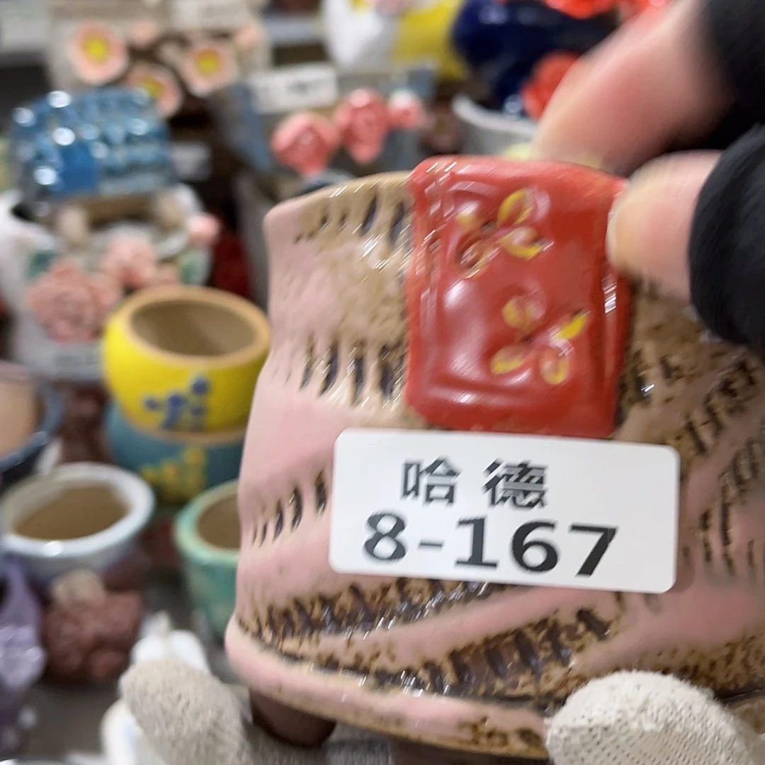 【闪购商品】红陶8167