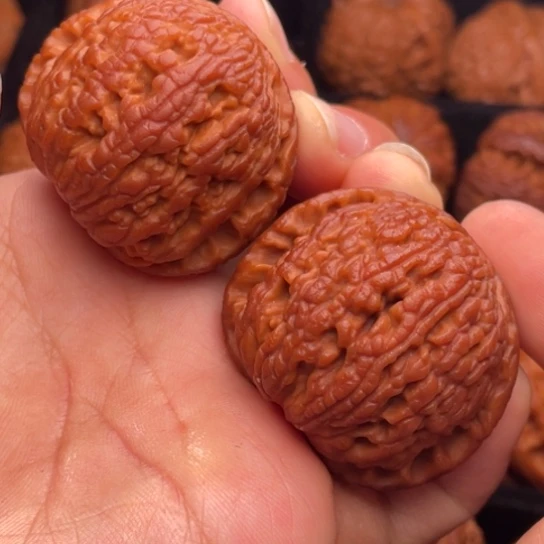 文玩核桃把件秦岭山脉核桃