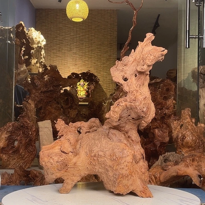 兴***隆香榧木123445566777