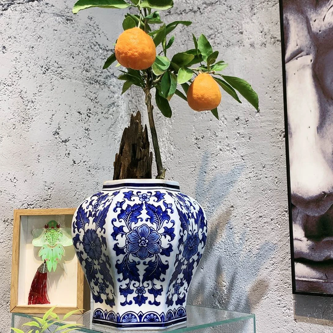 完全开放一物一拍