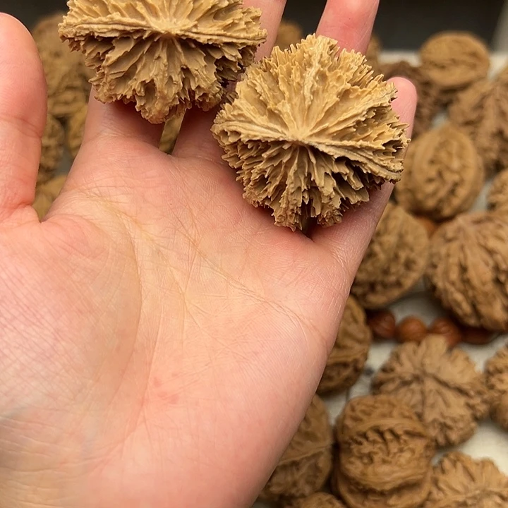 桃核吊坠秦岭山脉的一个3