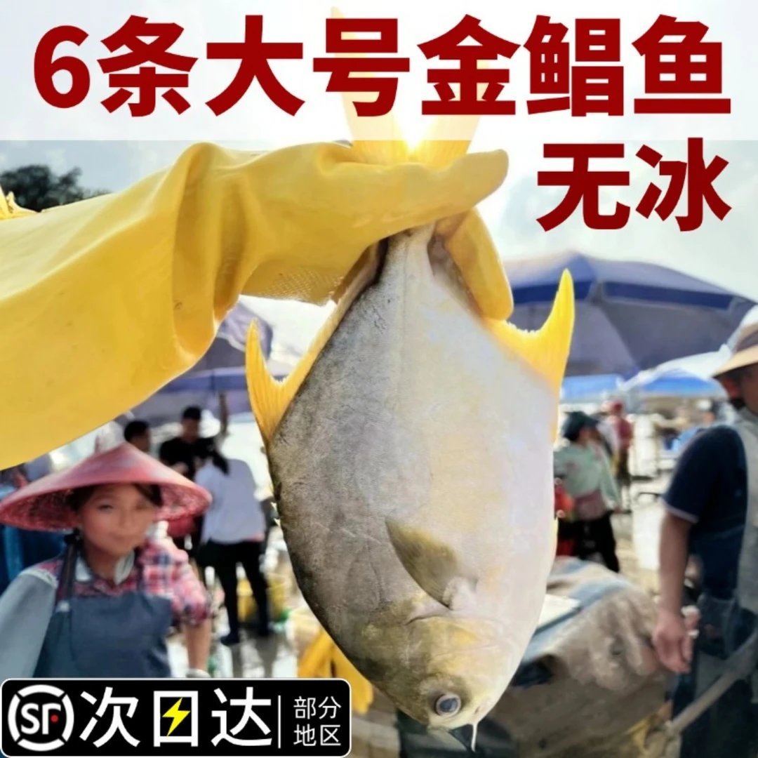顺丰次日达【6条金鲳鱼400g/条】新货金鲳鱼新鲜海鱼海鲜水产鲜活冻