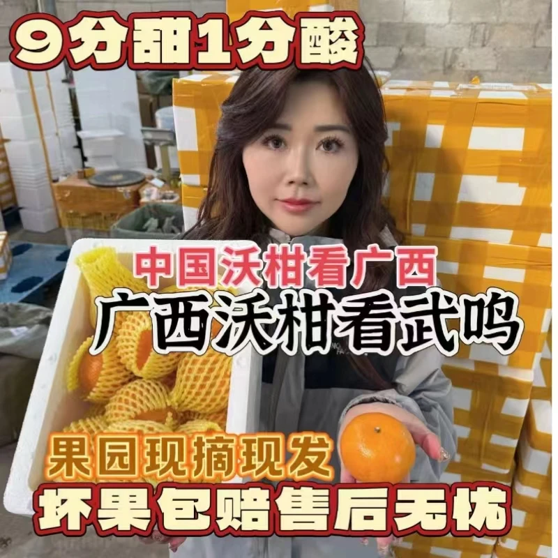 【慧姐姐专属】广西武鸣沃柑保温箱发货应季水果现采现发