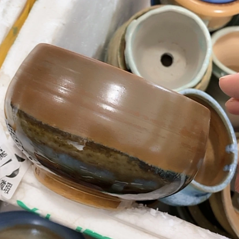 【闪购商品】红陶口12