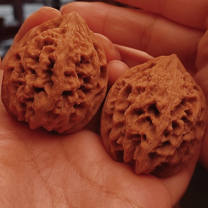 核桃40尺大沽石核桃
