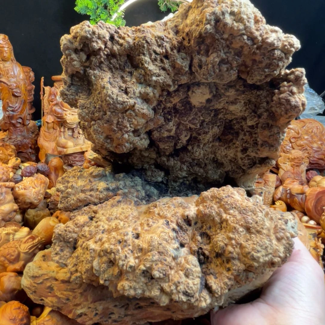 松木（琥珀木）其他随型